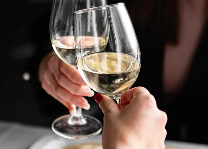 索利费马尔公寓酒店 公寓式酒店 卡斯特尔德费尔斯